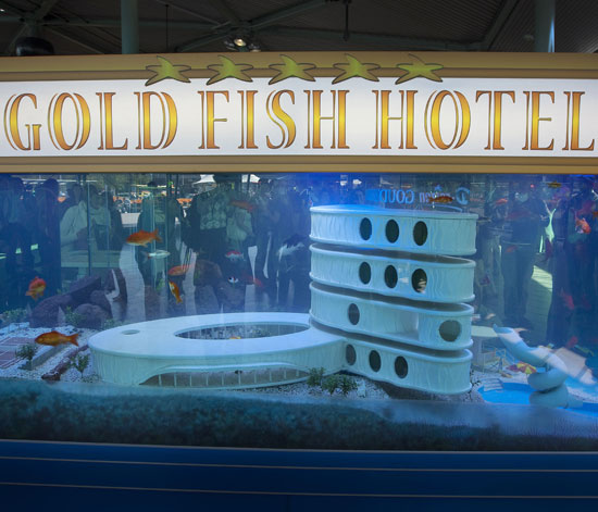 Check Out the World's First Hotel For Pet Fish! Check Out the World's First Hotel For Pet Fish!