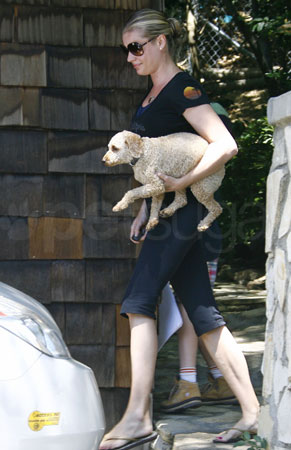 Has Rebecca Romijn Added A New Puppy to Her Family?
