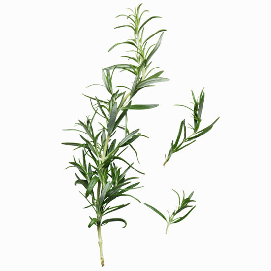 Rosemary Bath