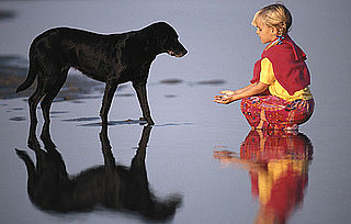 Do Tell: Can Your Dog Understand Gestures?