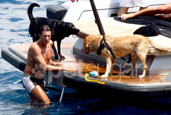 Found! Dolce and Gabbana's Dogs Enjoy Cool Water 	