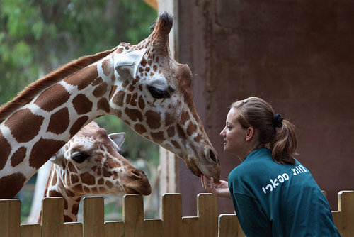Meet This Record Breaking Zoo Babe! Meet This Record Breaking Zoo Babe!