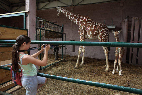 Meet This Record Breaking Zoo Babe! Meet This Record Breaking Zoo Babe!