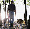 Do Tell: Can Your Dogs Play Off-Leash?