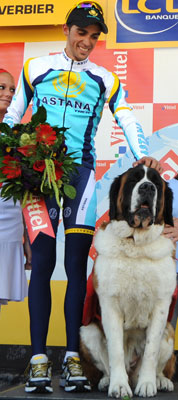 Saint Bernards Greet Tour De France Leader