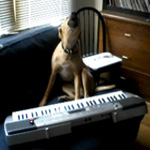 Who's the Bigger Musical Prodigy: Porter or Nora?