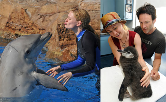 Photos of Anna Paquin and Steven Moyer at Sea World in San Diego Photos of Anna Paquin and Steven Moyer at Sea World in San Diego