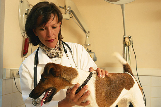 2. Make a Doctor's Appointment