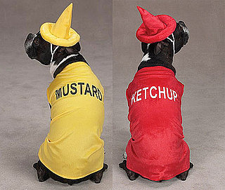 Condiment Costumes: Spoiled Sweet or Spoiled Rotten?