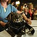 Rocker Cat 