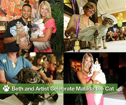 Photos of Beth Ostrosky and Artist From Groomer Has It at Matilda the Cat's Birthday Party