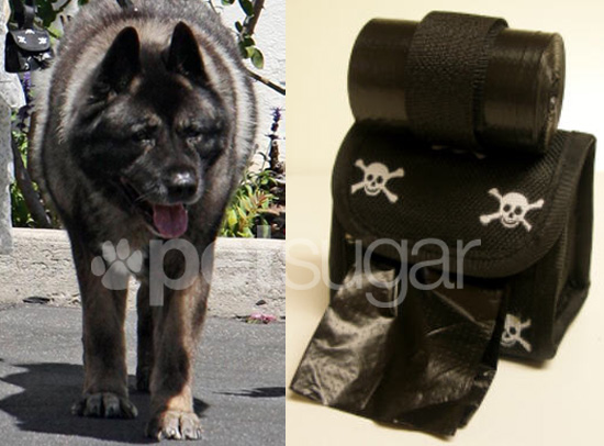 Sarah Michelle Gellar, Tyson, and Pals Take a Walk