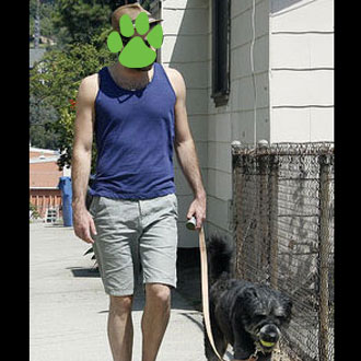 PetSugar Weekly Recap PetSugar Weekly Recap