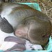 Happily Ever After