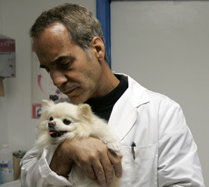 What Else Do You Know About the H3N8 Dog Flu?