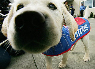 Too Cute For Words!