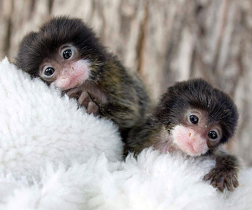 Orphans Lara and Lucy Get Hands-On Love