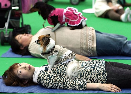 Yoga