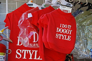 Doggy Style Doggy Sweatshirt: Cheeky or Crass?