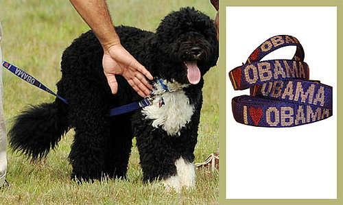 Found! Bo Obama's Collar and Leash Set