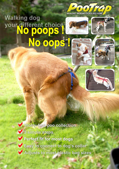 "No Poops! No Oops!"