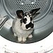Don't Tumble Dry Low