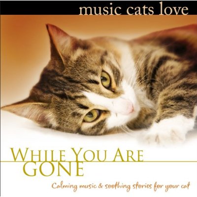 Music Cats Love Music Cats Love
