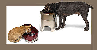Neater Feeder Takes Home Award and Protects Home, Too