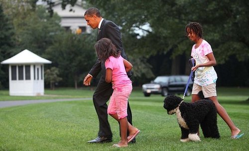Even More Bo! First Dog Frolics With First Family Even More Bo! First Dog Frolics With First Family