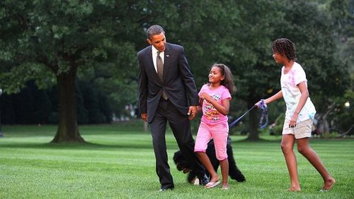 Even More Bo! First Dog Frolics With First Family Even More Bo! First Dog Frolics With First Family