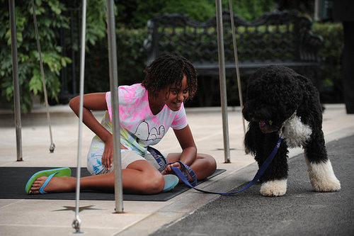 Even More Bo! First Dog Frolics With First Family Even More Bo! First Dog Frolics With First Family