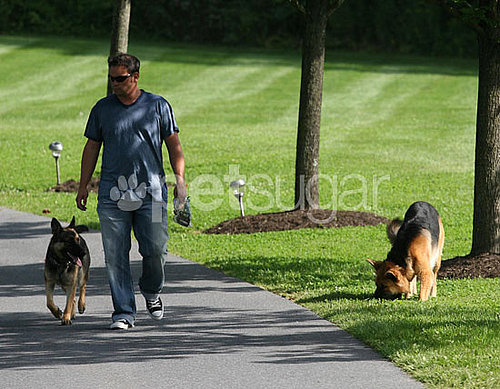 Jon Gosselin's Last Day With Shooka and Nala Jon Gosselin's Last Day With Shooka and Nala