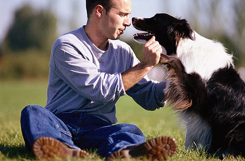 Cat Owners Eight Times More Likely to Have MRSA at Home