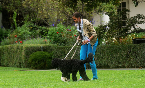Michelle Obama Walking Bo on the South Lawn Michelle Obama Walking Bo on the South Lawn