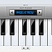 Cat Piano