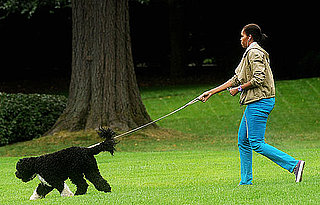 Michelle Obama Walking Bo