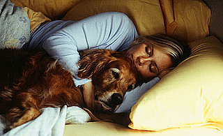 10 Conditions Affecting People and Pets: In the LINK of an Eye!