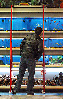 Do Tell: Have You Ever Impulsively Purchased a Pet?