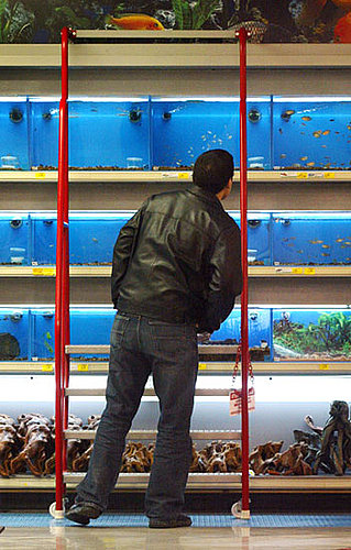 Do Tell: Have You Ever Impulsively Purchased a Pet?
