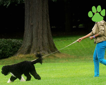 What Happened on PetSugar This Week (9/27-10/2)? What Happened on PetSugar This Week (9/27-10/2)?