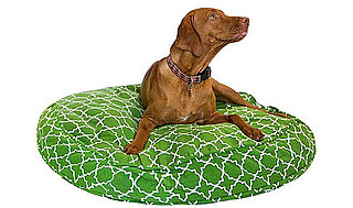 New Product Alert! Molly Mutt's New Patterns and Round Beds
