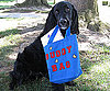 Pet Pic of the Day: Buddy Holly Carries His Own Weight