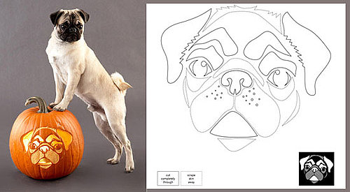 Get Crafty: Downloadable Dog Breed Pumpkin Stencils!