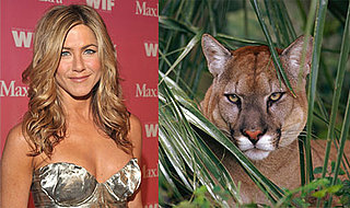 Jennifer Aniston to Play a Puma