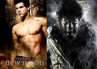 Maggie Stiefvater Novel About Werewolves to Be Adapted Into Movie