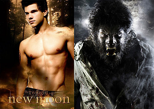 Maggie Stiefvater Novel About Werewolves to Be Adapted Into Movie