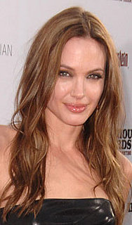 Angelina Jolie in Talks to Take Charlize Theron's Place in The Tourist