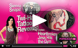 Daily Entertainment Celebrity Video Show