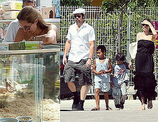 Photos of Brad Pitt, Angelina Jolie, Maddox Jolie-Pitt, Pax Jolie-Pitt Buying Gerbils in France