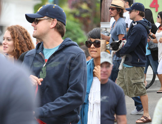 Photos of Leo